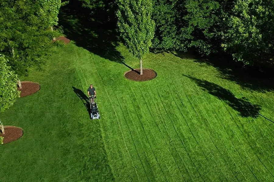 electric grass cutter